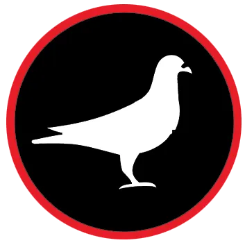 dépigeonnage-dtn-dax-bayonne