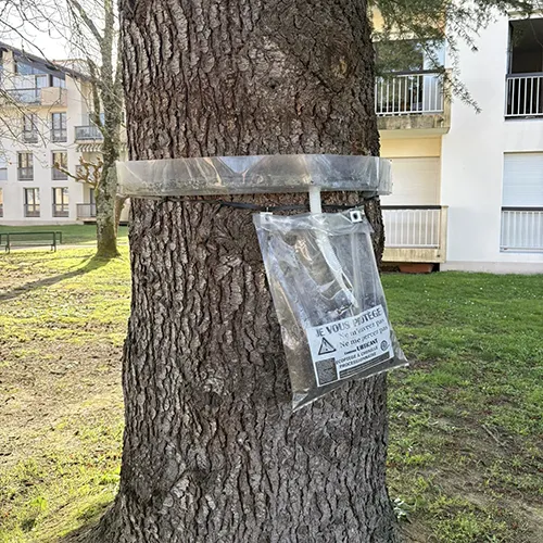 Désinsectisation DTN by dallagnol